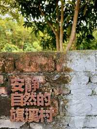登高望遠的悠然一日