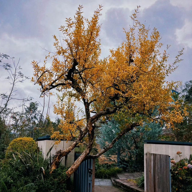 2025好去處｜一所隱匿於半山腰，緊鄰碧波蕩漾湖泊的小院落