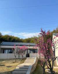 繁昌溪地阿蘭若 | 邂逅春日限定浪漫 