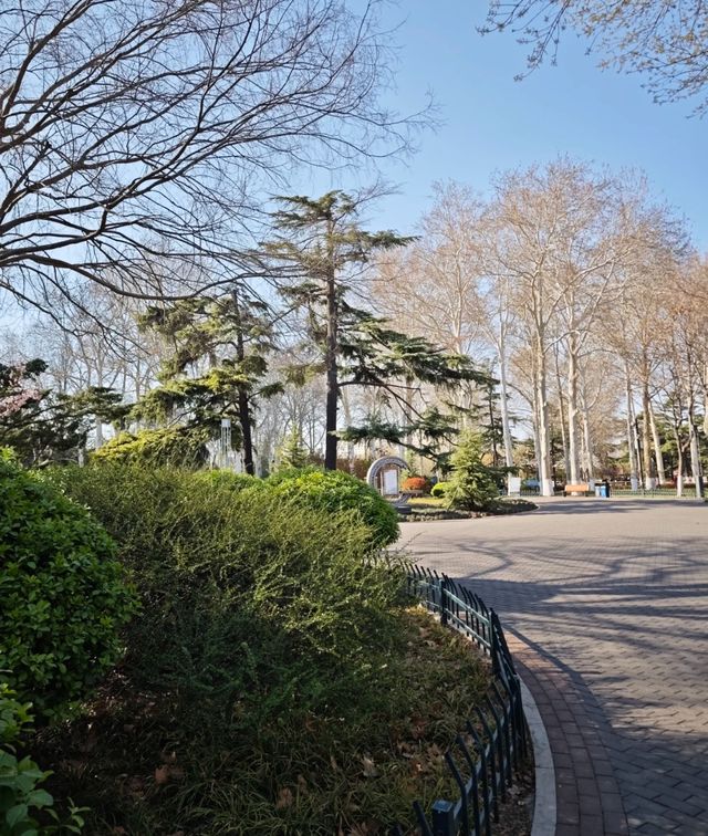 春天嘅格調就係咁靚～淄博人民公園打卡