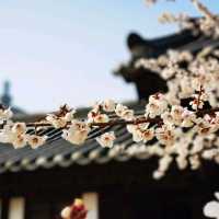 A few  days in Seoul