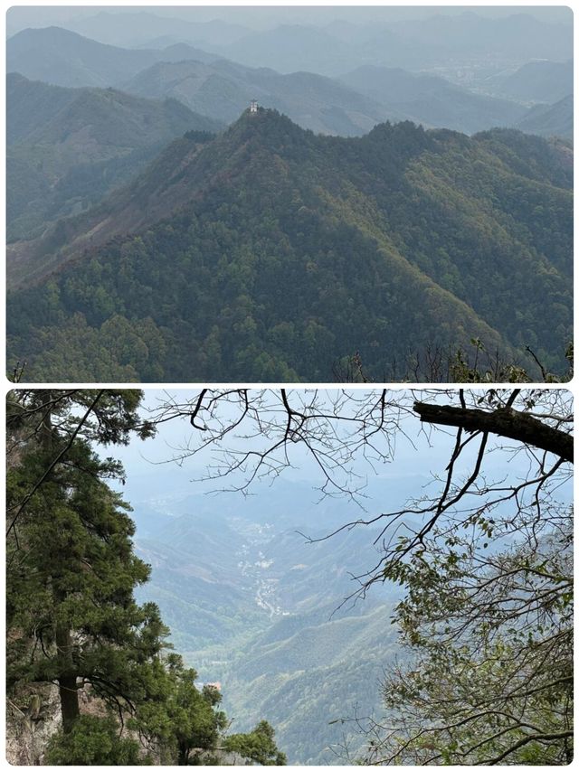 佛系吸氧天花板！天目山保姆級避坑攻略