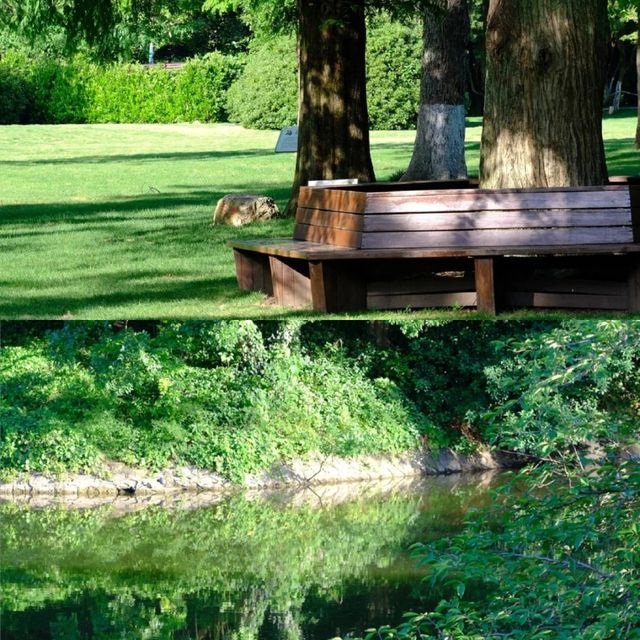 誤入莫奈花園！南京五一最佳旅行地