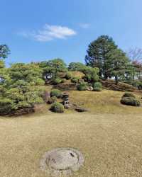 在二條城時空漫遊，解鎖將軍的春日度假庭園