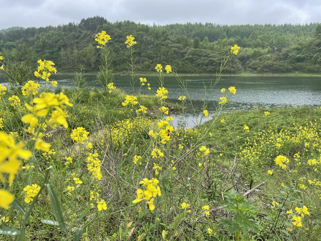 資江風光帶，邂逅江畔絕美風景🌆