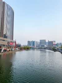 濰坊奎文門春季賞櫻攻略