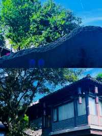 小河直街推薦必去嘅地方