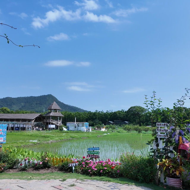 救命!!中山竟然藏著這樣的神仙村落——旗溪村!!🥺 救命!!中山竟然藏著這樣的神仙村落——旗溪村!!🥺