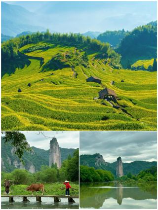Frequently Asked Jinyun Travel Guide: 2 Days, 1 Night, 500 Yuan Per Person