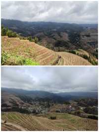 桂之旅丨龍勝龍脊梯田a