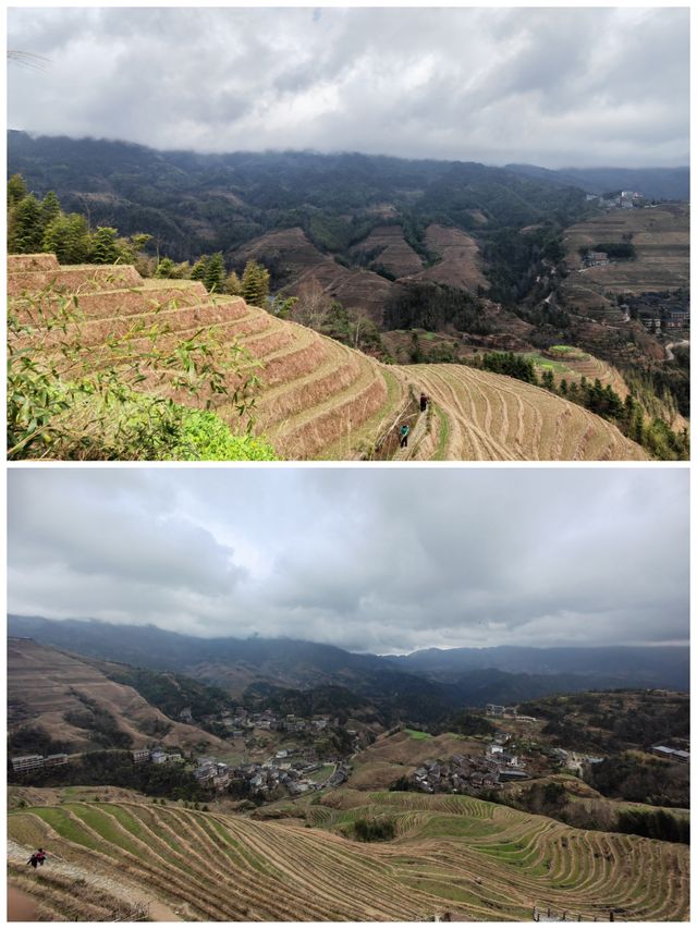 桂之旅丨龍勝龍脊梯田a