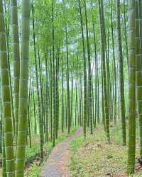 杭州周邊遊｜呢間神仙民宿治癒晒我全家
