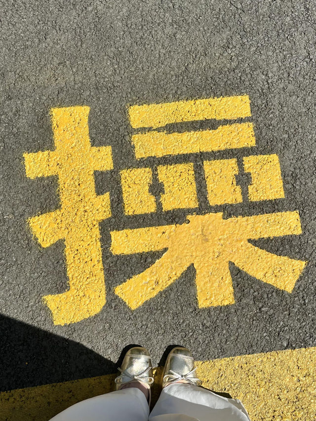 徐州旅遊攻略 唔中伏