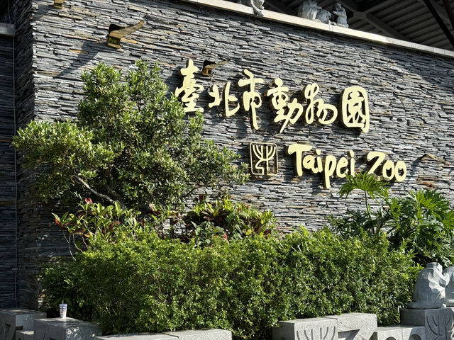 Budget Friendly Pandas At Taipei Zoo! Fun For All The Family 