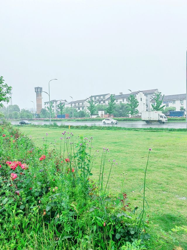 義東高速廿三里入口，月季瀑布對話「雞毛飛上天」