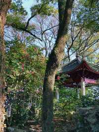 穿越600年打卡中國最古老嘅私家藏書樓