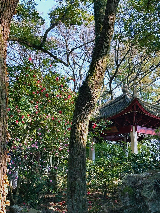 穿越600年打卡中國最古老嘅私家藏書樓