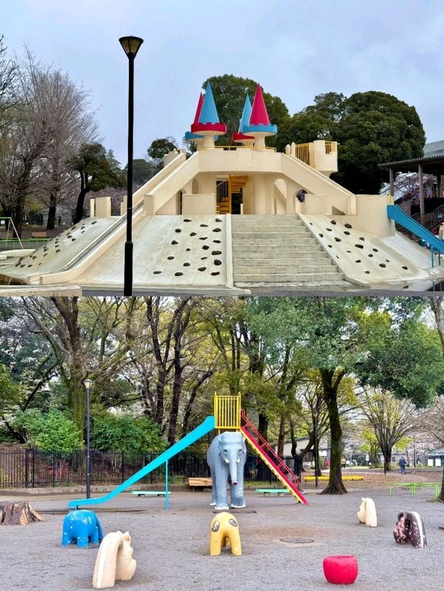 東京飛鳥山公園交通攻略：邂逅雨中童話與浪漫櫻花 