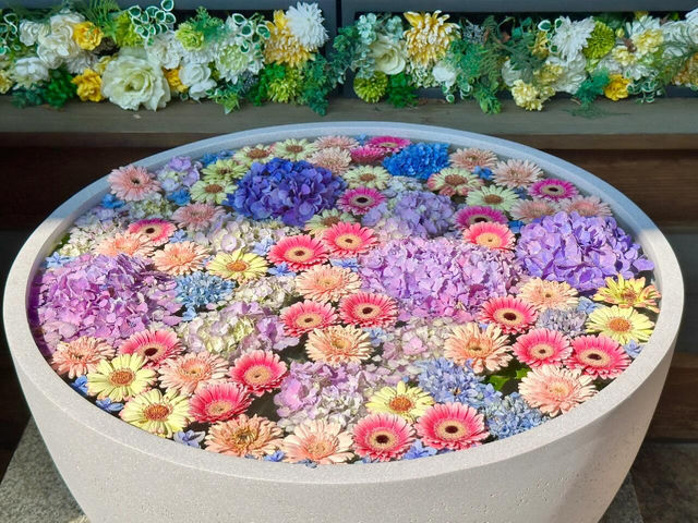 東京新宿 | 隱藏的繡球花祕境