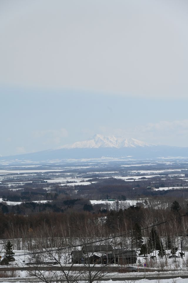 318東北海道