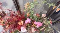 邂逅希芮迪，定格曼妙時光