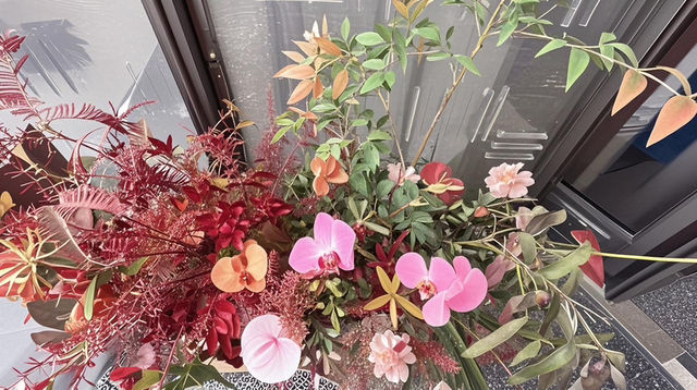 邂逅希芮迪，定格曼妙時光