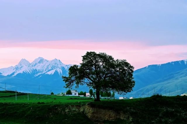 甘孜美景
