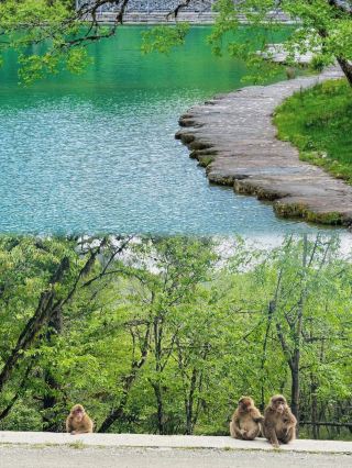 This summer, escape into the fairy-tale forest of Laba River together