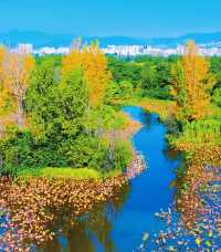 星程西昌邛海濕地公園萬達廣場酒店：暢享邛海畔的舒適度假時光