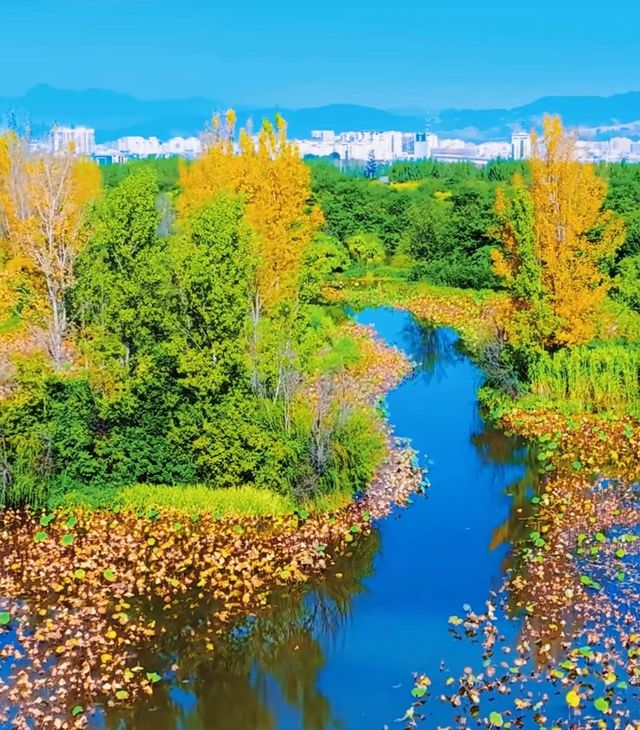 星程西昌邛海濕地公園萬達廣場酒店：暢享邛海畔的舒適度假時光
