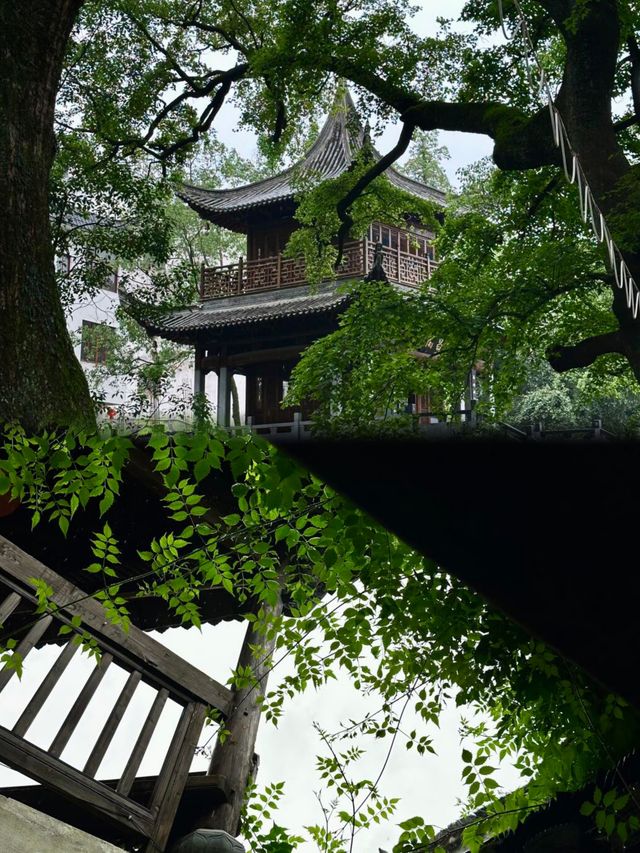 落雨嘅婺源，先至係真正嘅婺源
