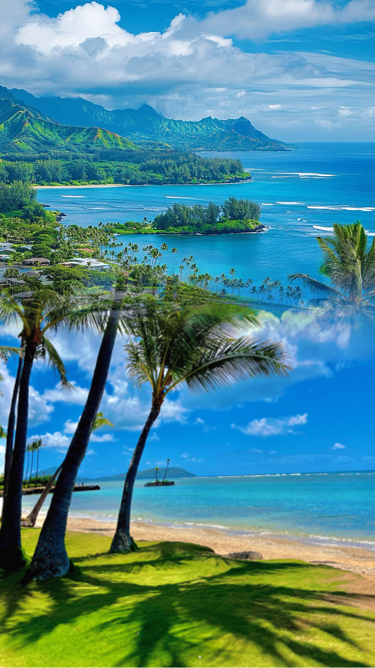 ワイキキビーチ様 リクエスト 2点 まとめ商品 3名様にプレゼント！「ハイアット セントリック ワイキキ ビーチ