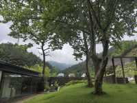 雨後山居：梅雨初霽時，尋一場山野的呼吸