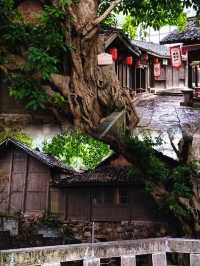 想沉浸式感受紅色歷史，仲可以夜遊古街賞燈籠，應該去邊度？