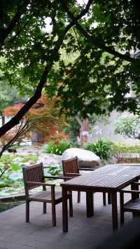 故園今夢 | 入住盛夏嘅莊昇曉月園林酒店