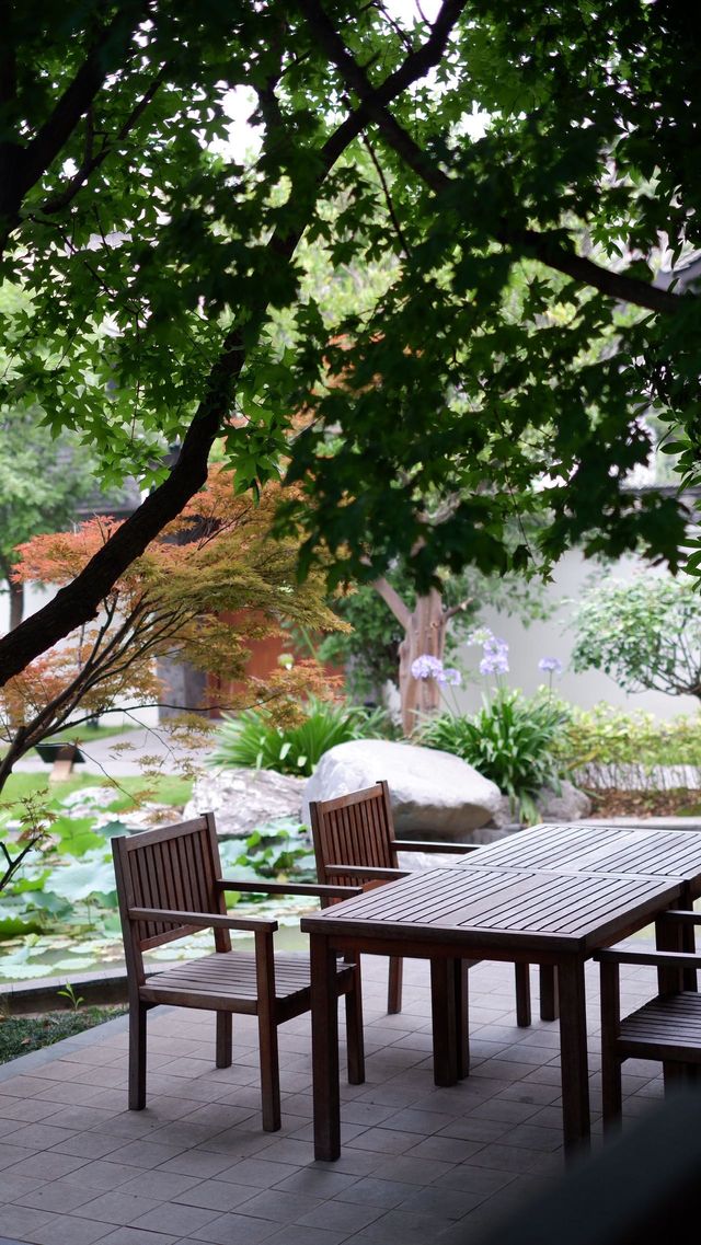故園今夢 | 入住盛夏嘅莊昇曉月園林酒店