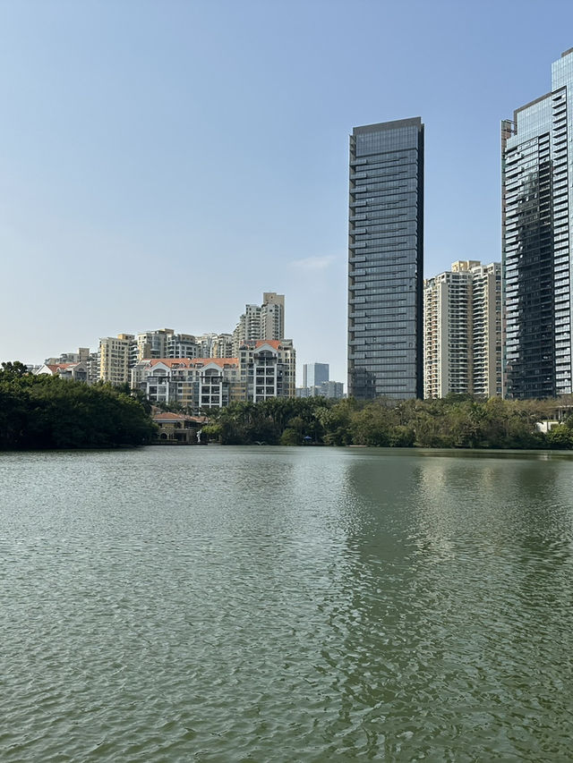 Unbelievable Shenzhen, A Cheaper Hong Kong! Top Low Budget Trip