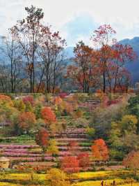 塔川森林公園，邂逅秋天的童話！