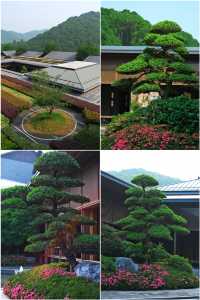 杭州莊園｜入住明星同款度假酒店
