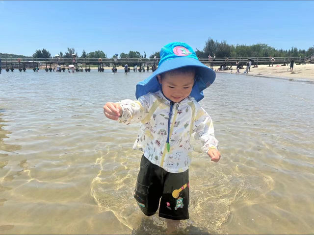 高鐵站旁嘅寶藏民宿！汕尾之旅絕配
