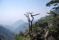三清山絕對值得一遊，雲端之上的震撼令人難忘