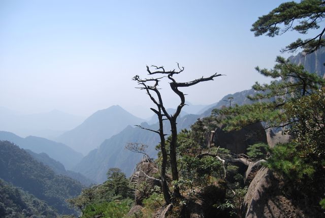 三清山絕對值得一遊，雲端之上的震撼令人難忘