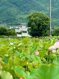 杭州出發半小時 江浙滬天選後花園