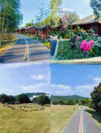 吐血整理｜帶3歲娃住過嘅江浙滬親子酒店staycation