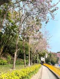 香港出發至澳門螺絲山公園交通攻略 