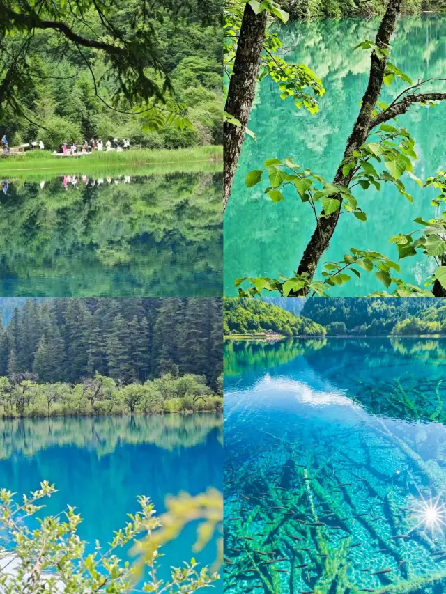 3 Days 2 Nights Jiuzhaigou High-Speed Rail Round Trip Guide