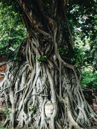 **【アユタヤ遺跡巡り：タイ王朝の栄華を辿る一日旅】**  