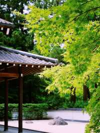 *【東京の静寂を求めて　玉堂美術館の枯山水に癒される】**  