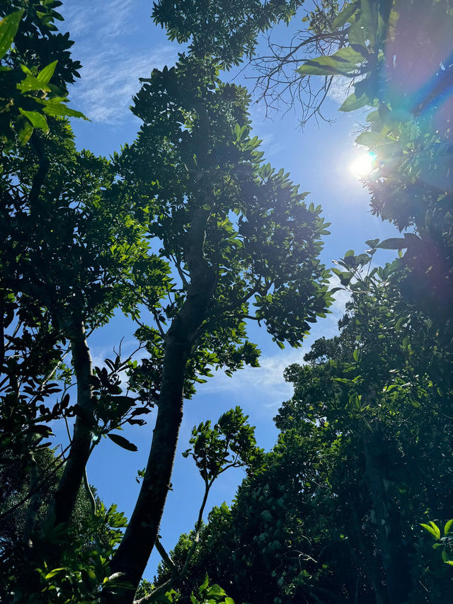 🌊香港行山天花板！西貢釣魚翁，玻璃海美到心空！