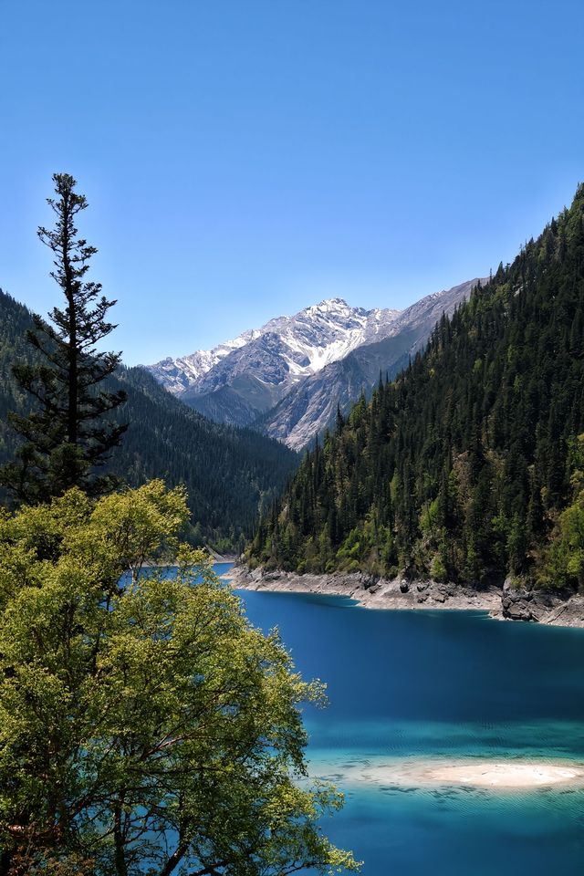 【九寨溝風景區】